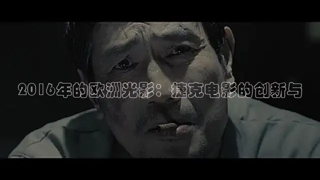 51视频在线观看